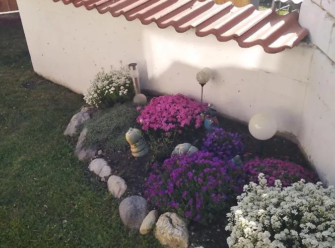 Nagy 因斯布鲁克